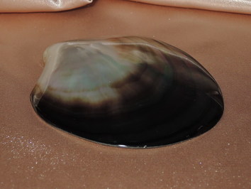 Lastura TPS100G Lastura TPS100G