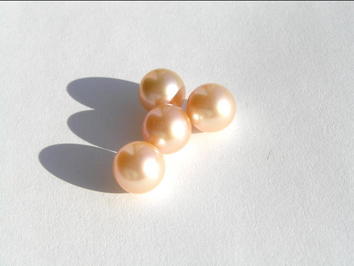 perly RL10AApM perly RL10AApM