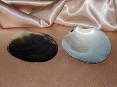 Lastura TPS100G 1.jpg TPS100G