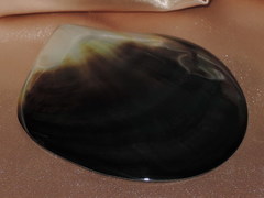 Lastura TPS100G 2.jpg TPS100G