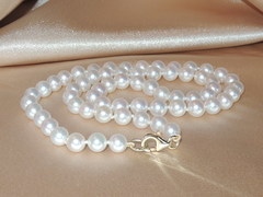 Perlový náhrdelník japonské akoya perly 6,5 mm APN6570C APN6570C.jpg APN6570C