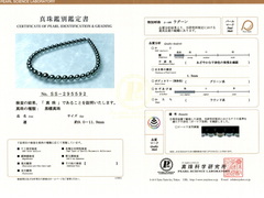 Certifikát PSL Aurora Lagoon SS-295592.jpg TPN63OP