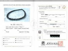 Certifikát PSL Aurora Peacock SK-183171.jpg TPN055OP