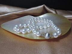 DSCN0190.jpg APN8590C