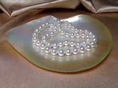 Náhrdelník z japonských akoya perel AAA 8 mm APN8085C DSCN0243.jpg APN8085C