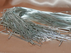 FWS01A.1.JPG FWS01A
