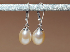 Perlové náušnice SE8090pW Perlové náušnice SE8090pW.1.JPG SE8090pW