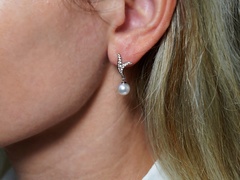 Zlaté náušnice 14K s perlami Jižního Pacifiku WW06WVE-W Perlové náušnice WW06WVE.JPG WW06WVE-W