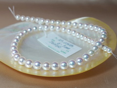 Náhrdelník z japonských akoya perel TENNYO 6-9mm TENNYO 6090 Perlový náhrdelník TENNYO 6090-1.JPG TENNYO 6090