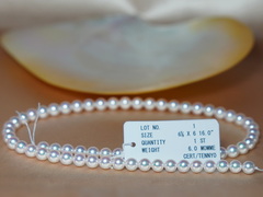Perlový náhrdelník japonské akoya perly Tenny 6-6,5mm.1.JPG TEN-NYO 6065