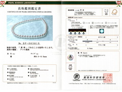 TENNYO 8085 SP063815.jpg TEN-NYO 8085
