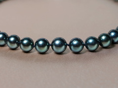 Tahitské perly náhrdelník TPN053M TPN053M Tahitské perly náhrdelník TPN053M-1.JPG TPN053M