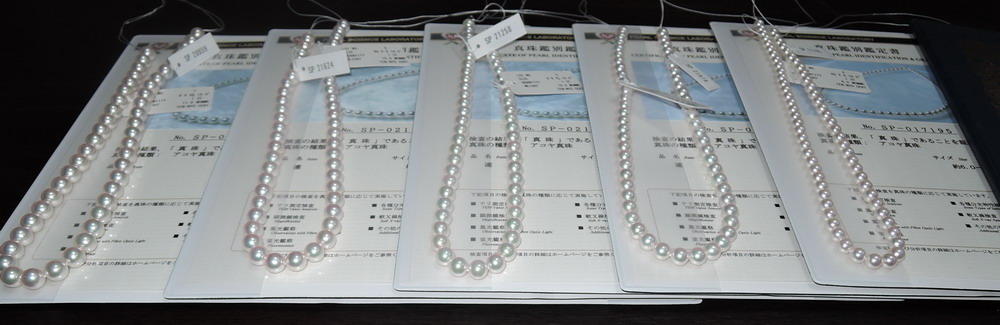 aurora tennyo 1 cz