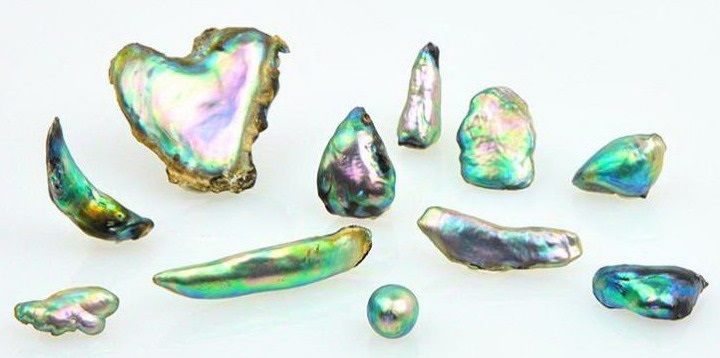 Abalone perly a lastury